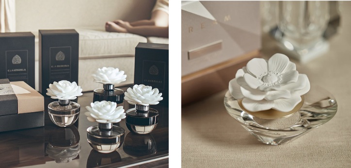 Best diffusers for home - the complete guide