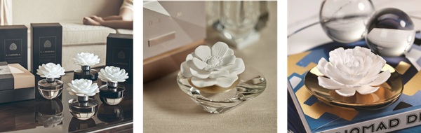 Home diffusers for home, the best guide to know how to use them