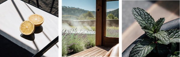 How to use home diffusers and where to place them for the best results