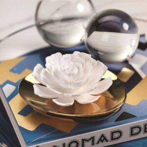 Get oil diffusers online - Hollywood