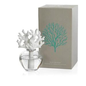 Where to buy an oil diffuser - Housedi - Diffusers for office