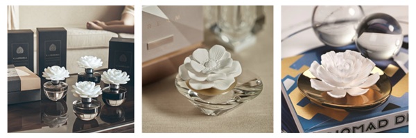 why is aromatherapy important